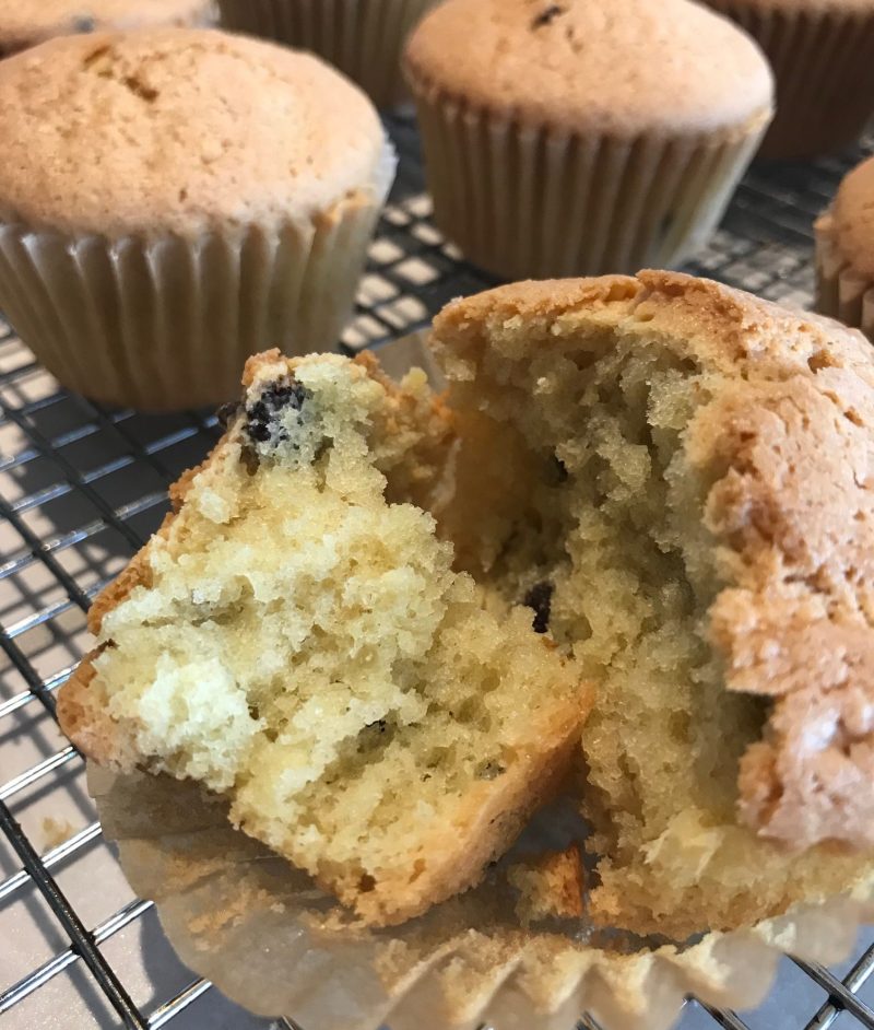 DairyFree Chocolate Chip Muffins