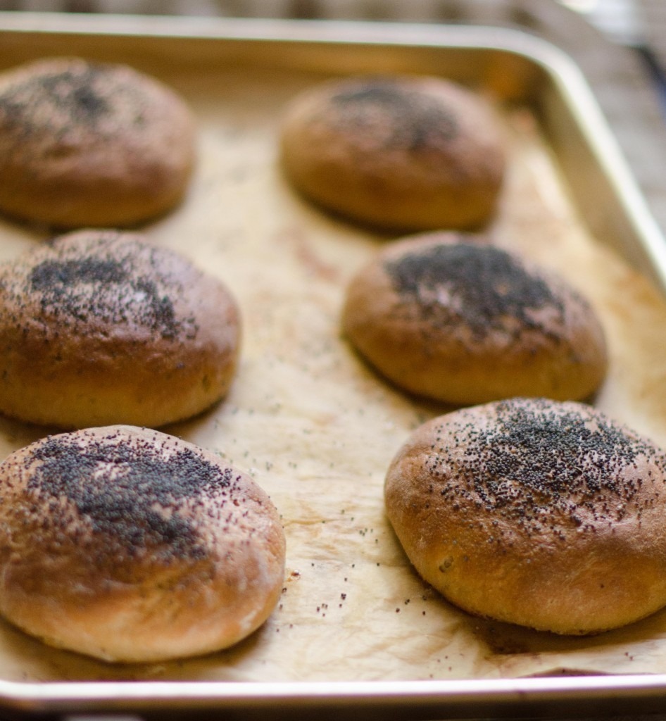 Homemade Burger Buns