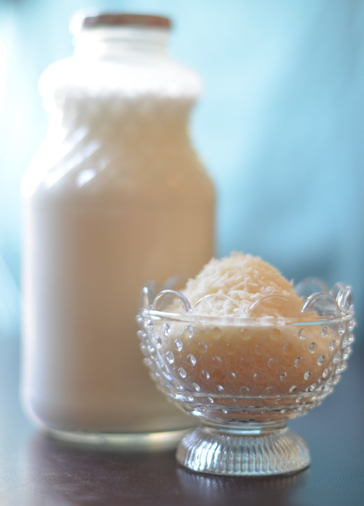 Coconut Milk The Bitter Almond