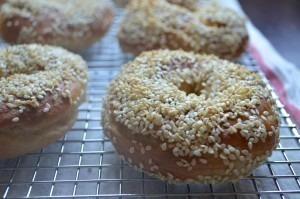 Montreal Bagel