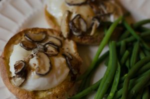 Poached Eggs with Mushroom Cream Sauce